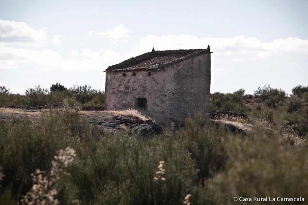 Casa Rural La Carrascala Zamora Extérieur photo